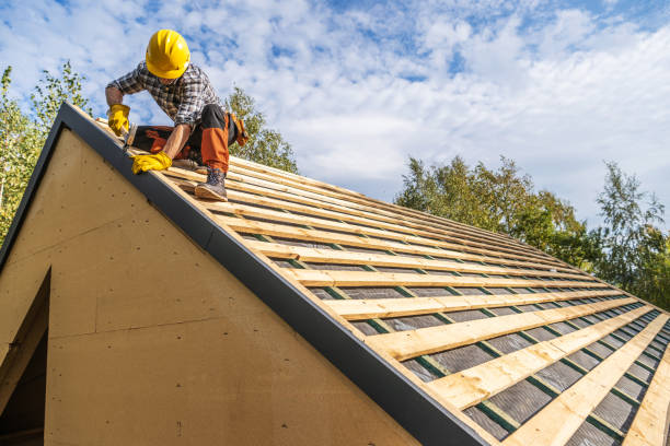 Best Roof Gutter Cleaning  in Kingfisher, OK